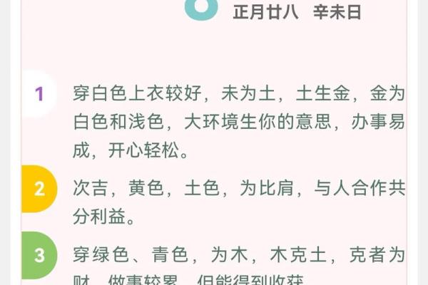 一九八五：五行命理与人生的奇妙交织