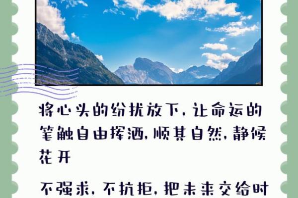 命与命相合，缘分的美妙碰撞与启示