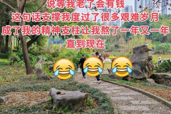 1908年出生的人命理分析：如何迎接人生的挑战与机遇