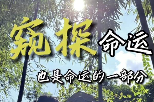 命运与自我:如何理解生命中的每一个选择与结果 命运与自我:如何理解生命中的每一个选择与结果