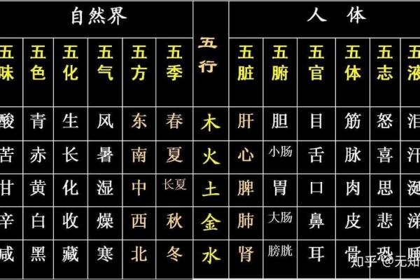 2027年命与属性揭秘：探索未来五行八卦之奥秘