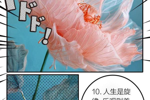 1969年出生的鸡，命运与人生的奇妙旅程