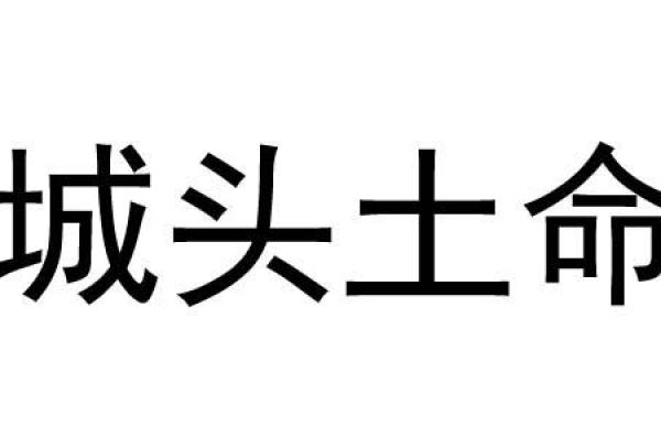 城头土命:探讨土命在命理中的意义与影响 城头土命:探讨土命在命理中的意义与影响