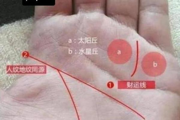 命理解析:1988621的命格与性格缺失之谜 命理解析:1988621的命格与性格缺失之谜