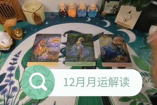 19961202出生的人生运势解读与发展方向 19961202出生的人生运势解读与发展方向