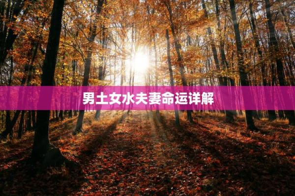 女水命与男命的最佳婚配组合解析