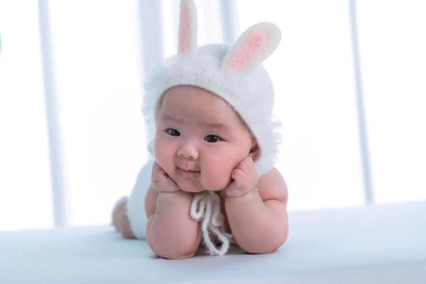 1967属狗人的命运与性格：人生的多彩篇章