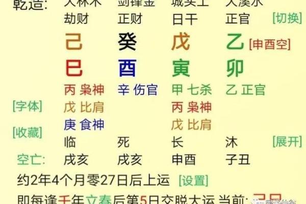 1985年出生的木命解析：探讨其命理特征与发展方向