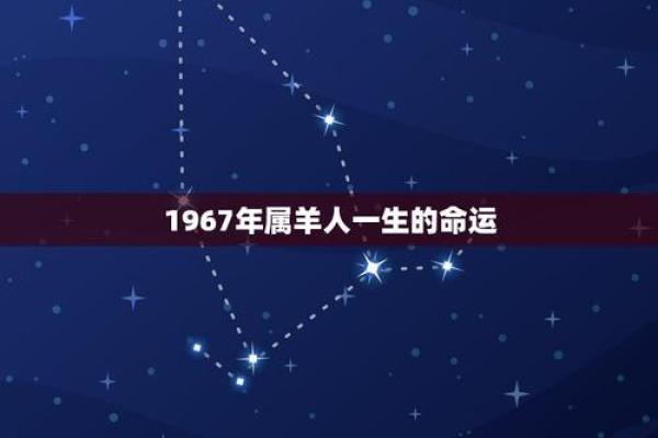 1967属狗人的命运与性格：人生的多彩篇章