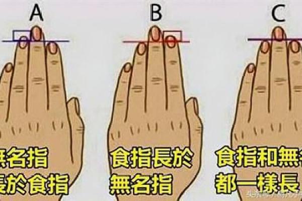 富贵命与普通命的区别：命运背后的秘密与人生启示