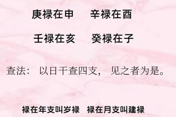 探秘农历2002年2月4日的命运与人生之道