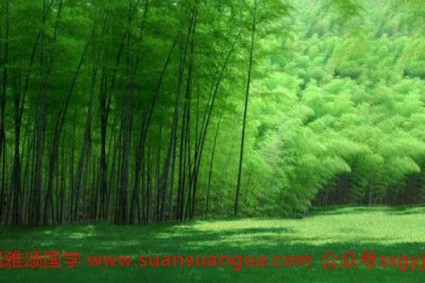 杨柳木命：缺什么才能更好地生长与发展？