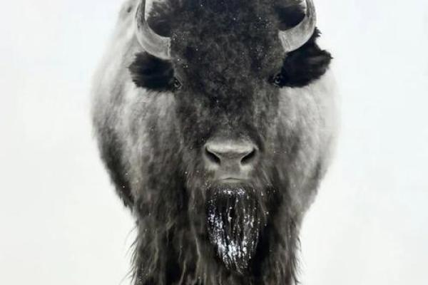 探秘1996年1月7日出生者的命运与人生之路