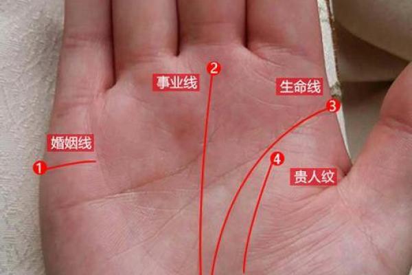 女人手太大是什么命?手掌的奥秘与命运解析 女人手太大是什么命?手掌的奥秘与命运解析