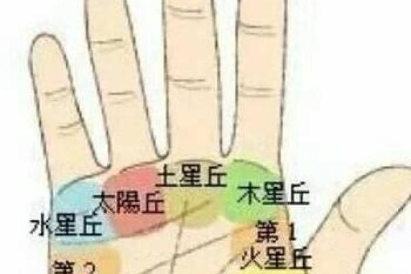 女人手太大是什么命?手掌的奥秘与命运解析 女人手太大是什么命?手掌的奥秘与命运解析