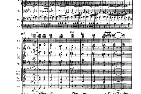 1996年正月十四：探索命运与生活的交响曲