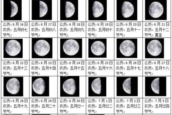 1978年农历出生的人命格与人生轨迹解析