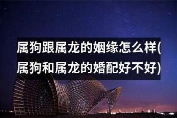 木命男与命女的理想配对:探索完美姻缘之路 木命男与命女的理想配对:探索完美姻缘之路