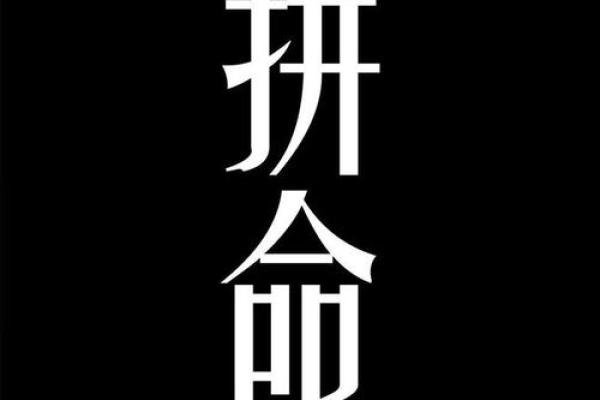 《我拼了命,命命的坚持与追求》 《我拼了命,命命的坚持与追求》