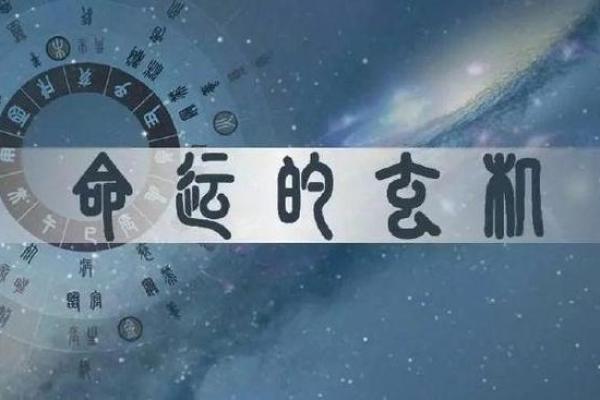 1991腊月生人命运解析：揭示你的命理秘密