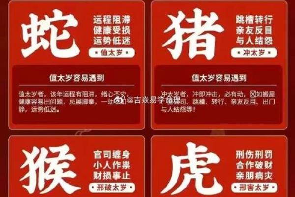 算命中的东命西命：命运之道的玄机与解读
