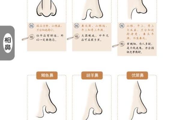 甲木女命适合找什么男命?揭秘最佳配对,助你找到真爱! 甲木女命适合找什么男命?揭秘最佳配对,助你找到真爱!