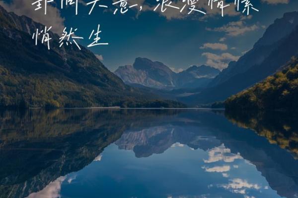 探寻95猪的命运之谜：10月的吉凶与未来之路