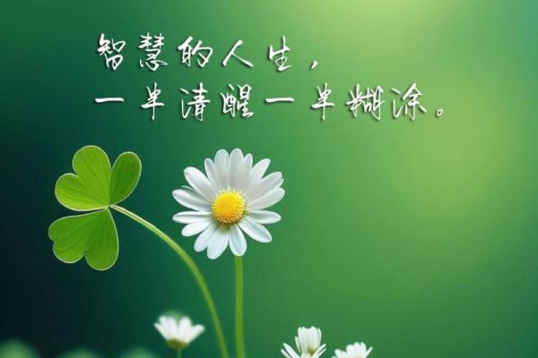 2002年蛇年命运解析：千变万化的蛇之智慧与人生机遇