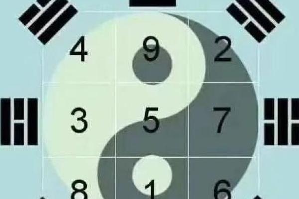 19915命理解析：解读数字背后的命运密码