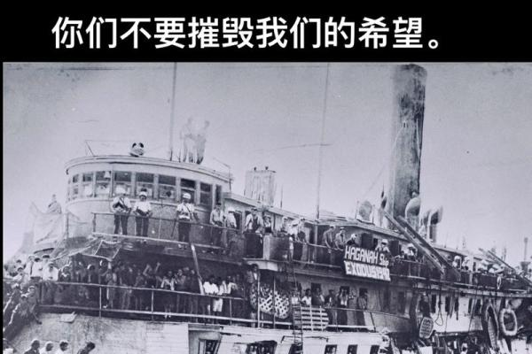 2023年3月的命运与人生启示：拨动命运之轮的秘密!