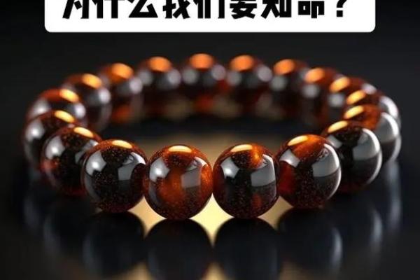 知命之学：高校里的命理学探索之旅