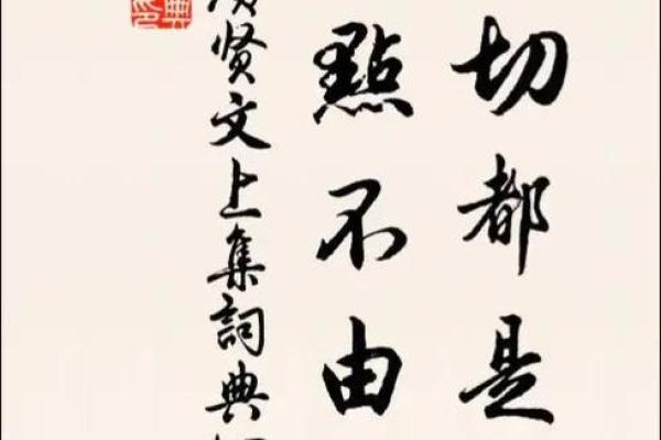 知命之学：高校里的命理学探索之旅