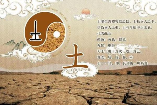 探索土命的奥秘：一年一运的命理解读与指导