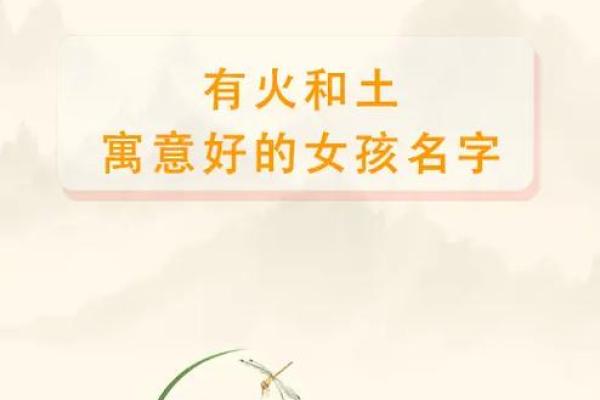 命名的奥秘：破解名字背后的深刻寓意与影响