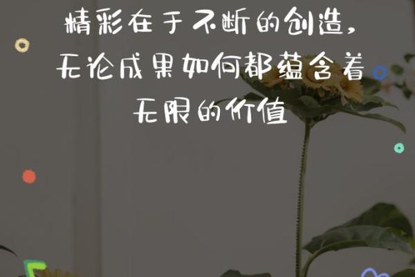 探索人生的十种最佳命运，共创美好未来！