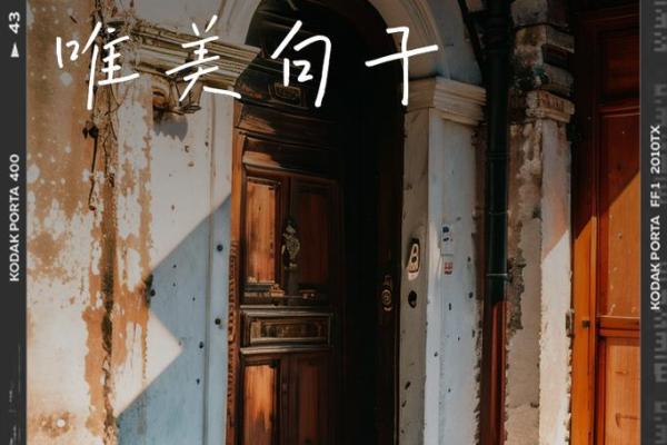 2024年以后的命运指引:生活方式与心灵成长的双重探索 2024年以后的命运指引:生活方式与心灵成长的双重探索