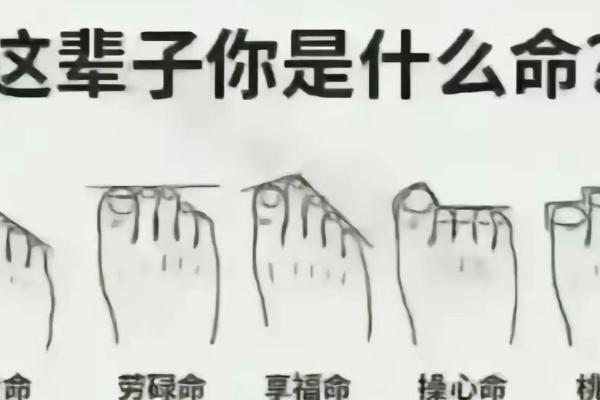 命由己造,命由天定:从成语谈人生哲理的思考 命由己造,命由天定:从成语谈人生哲理的思考