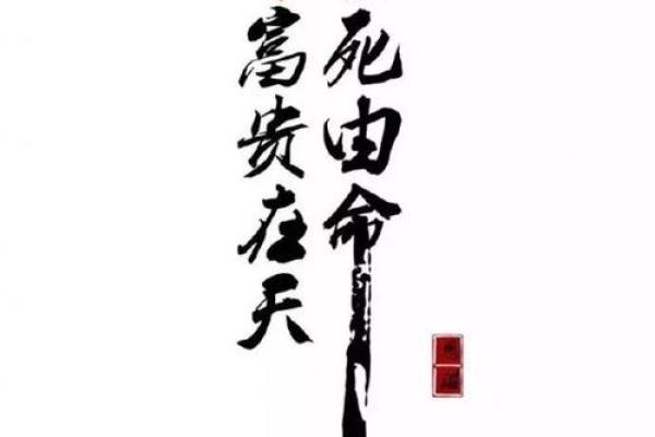 命由己造,命由天定:从成语谈人生哲理的思考 命由己造,命由天定:从成语谈人生哲理的思考