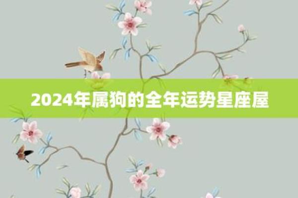 2023年属狗人的命运分析与运势提升技巧