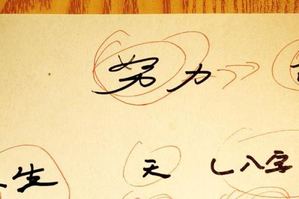 13年命运解析:缺失何物,如何逆转人生? 13年命运解析:缺失何物,如何逆转人生?