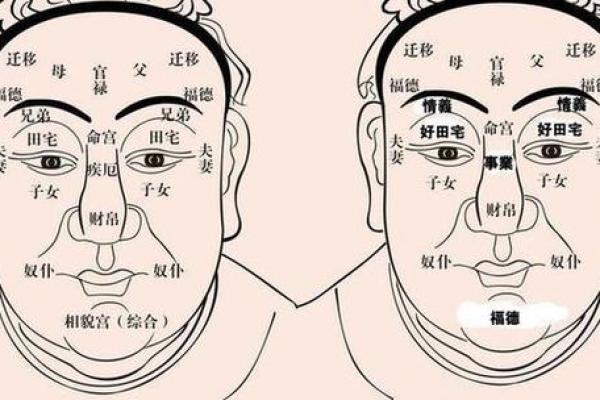 性格脾气大的人，命运为何如此波折？探寻内心与环境的关系！