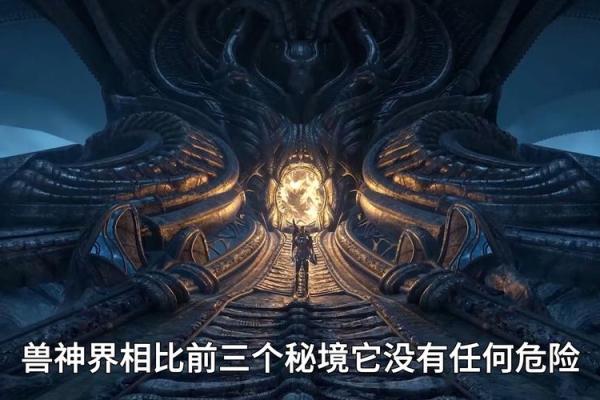 如何判断自己属于何种命运？探寻命运之谜的四大秘诀！