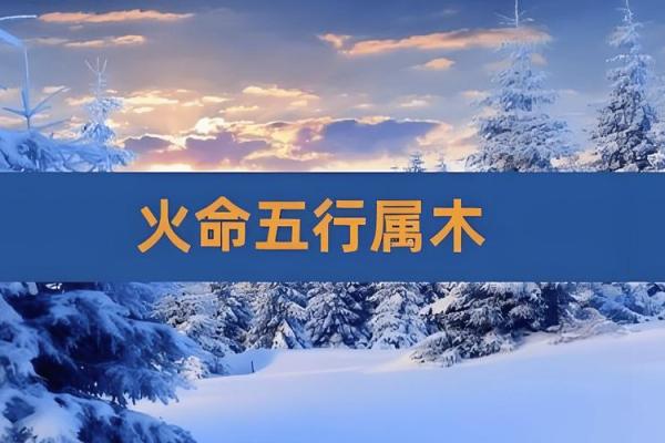 木命与火命家庭装饰：如何选择合适的画作提升运势？
