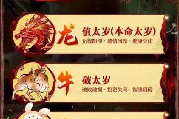 2024年龙年的命运解析:揭秘你的幸运与挑战 2024年龙年的命运解析:揭秘你的幸运与挑战