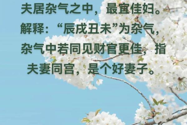 2023兔年命理解析:水兔与木兔的深度解析与运势探讨 2023兔年命理解析:水兔与木兔的深度解析与运势探讨