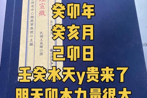 2023兔年命理解析:水兔与木兔的深度解析与运势探讨 2023兔年命理解析:水兔与木兔的深度解析与运势探讨
