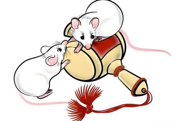 2020年鼠命分析：探索鼠年的命理与性格特征