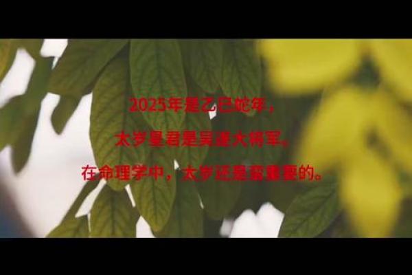 揭开“田园之猪”的命理之谜，探寻猪年的幸福密码！