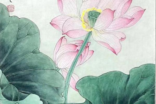 生肖马：1966年的命理与人生智慧探寻