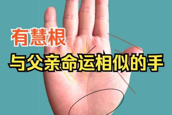 为子孙劳碌而生的命运：探索“子孙命”的深意和影响